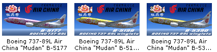 国航牡丹涂装集合-5316 