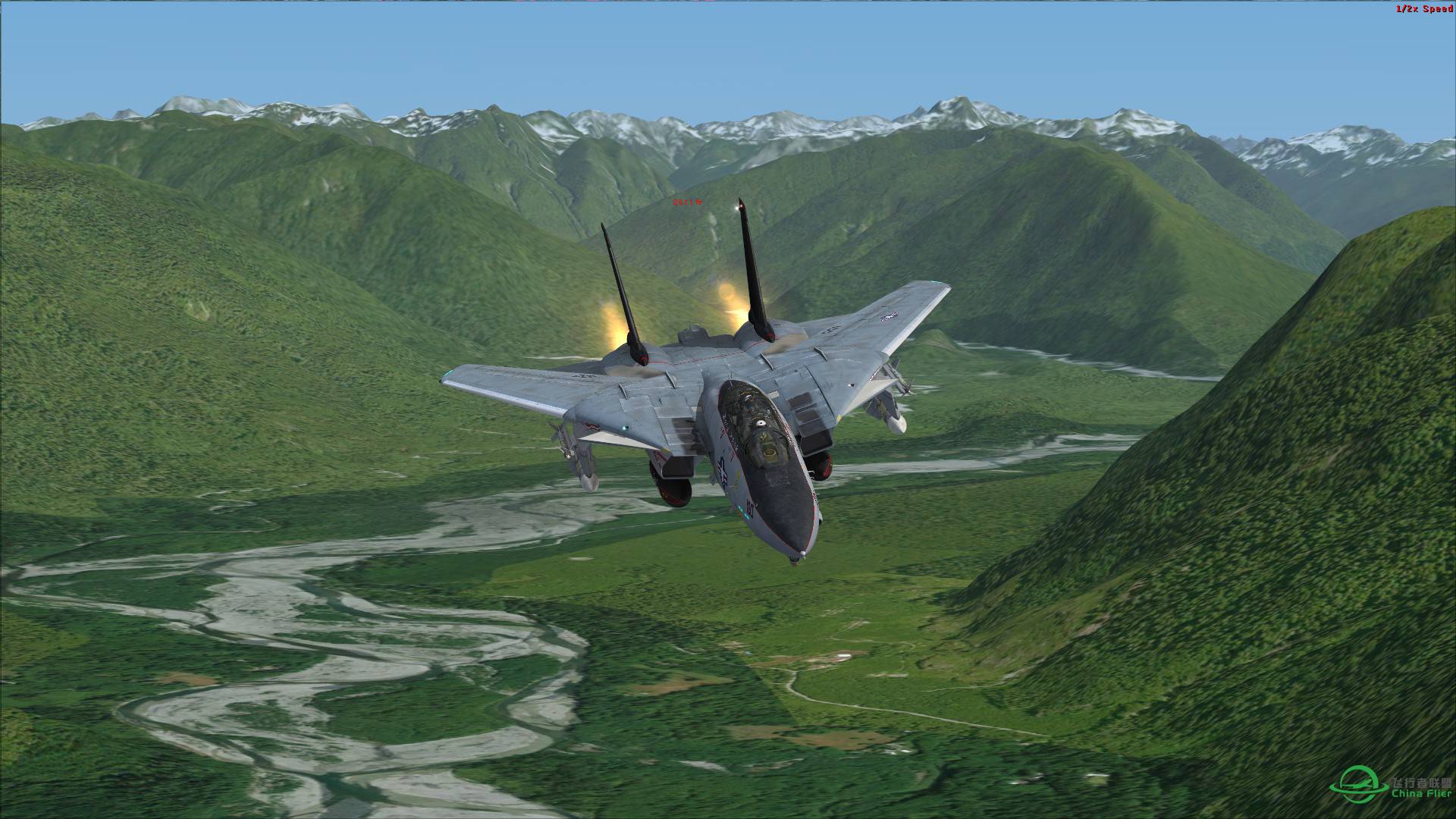 F-14飞行在华盛顿州奥林匹克国家公园-8335 