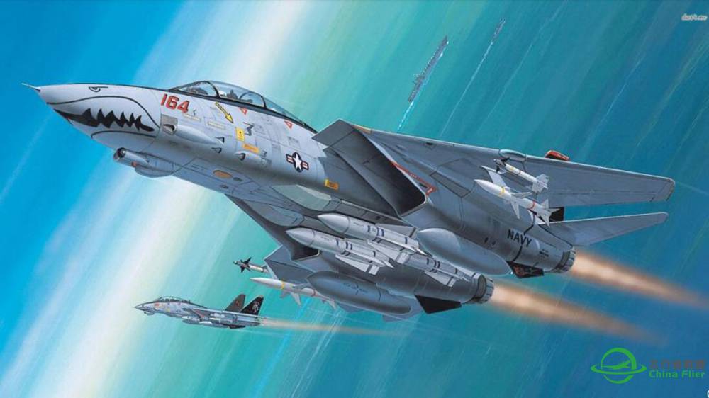 雄猫党的福利 FSX  F-14D战斗机 战斗与起降视频！-762 