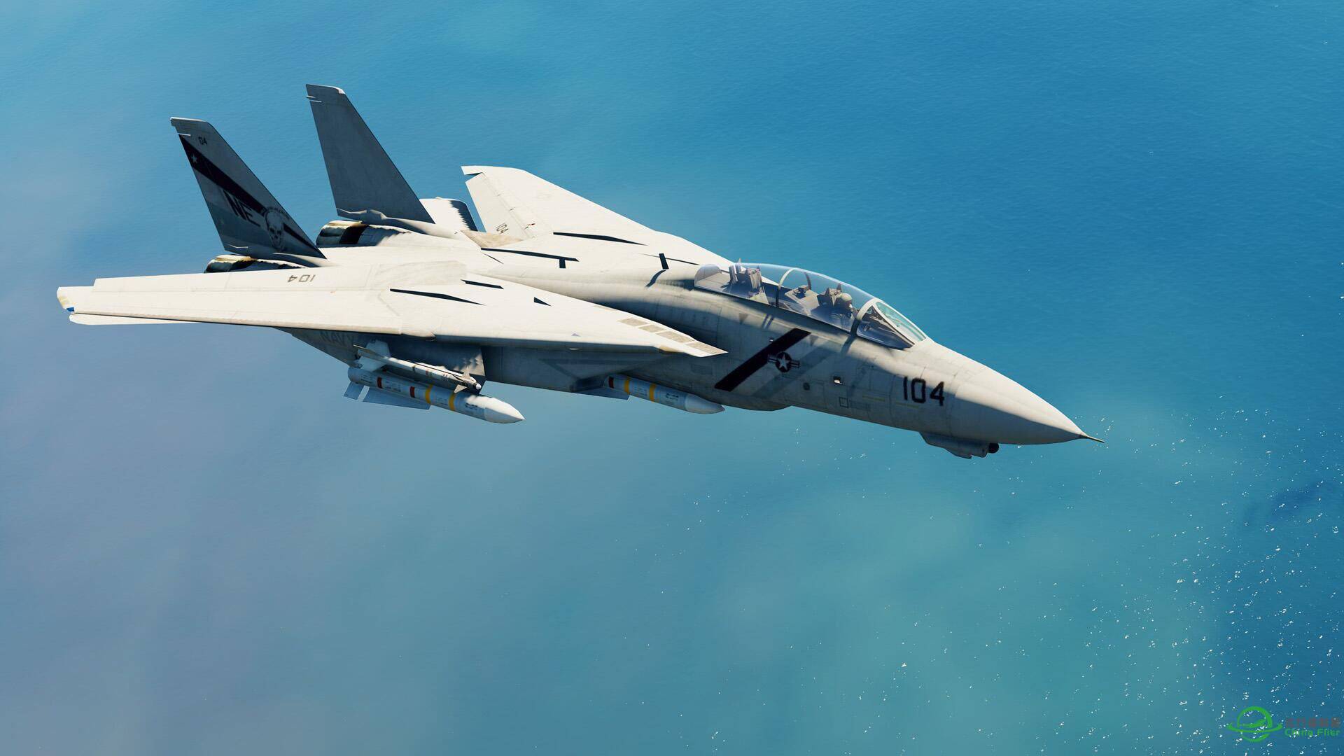 雄猫党的福利 FSX  F-14D战斗机 战斗与起降视频！-6450 