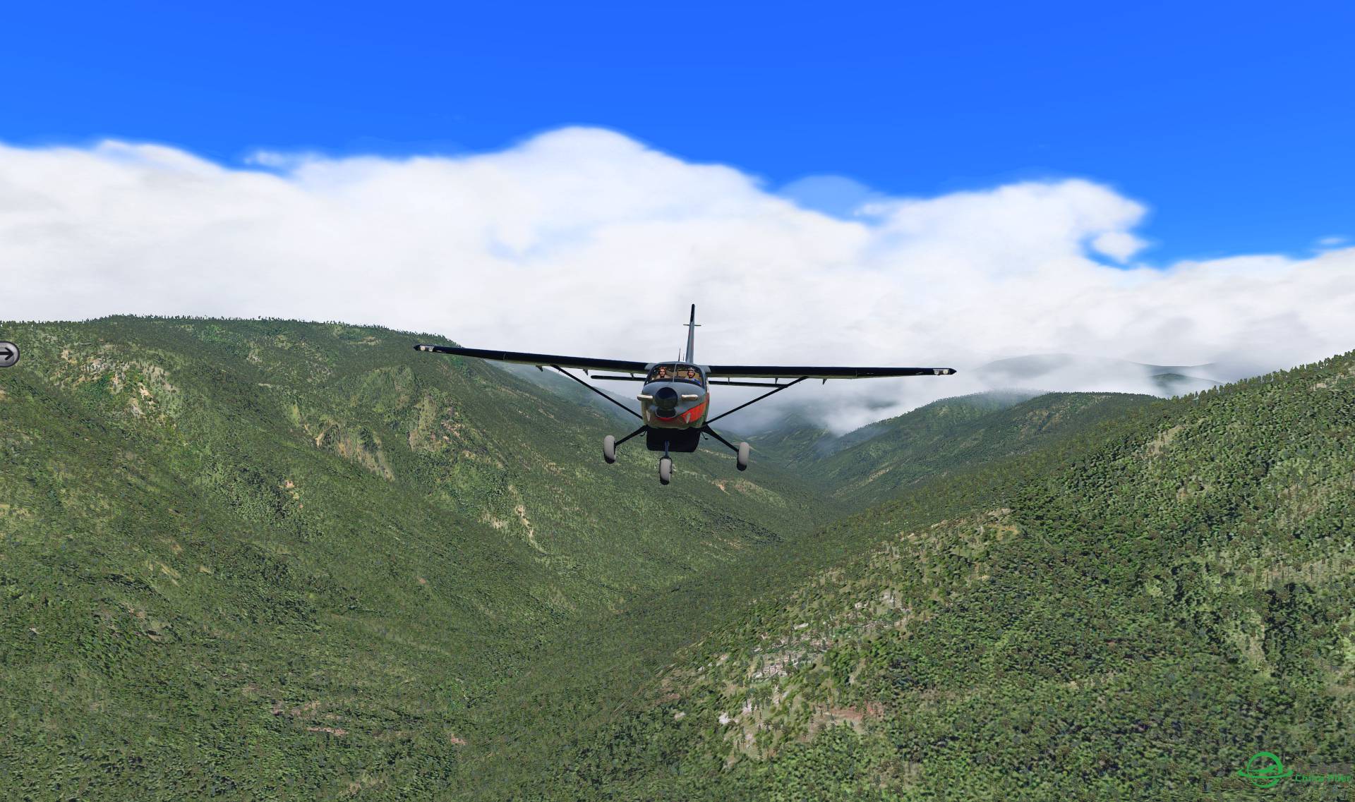 飛進papua-8223 