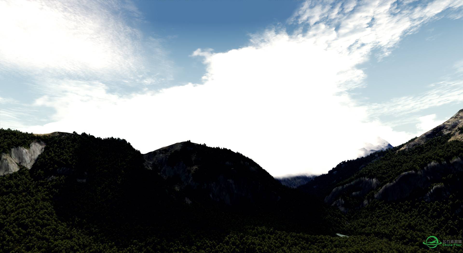 New zealand's forest-69 