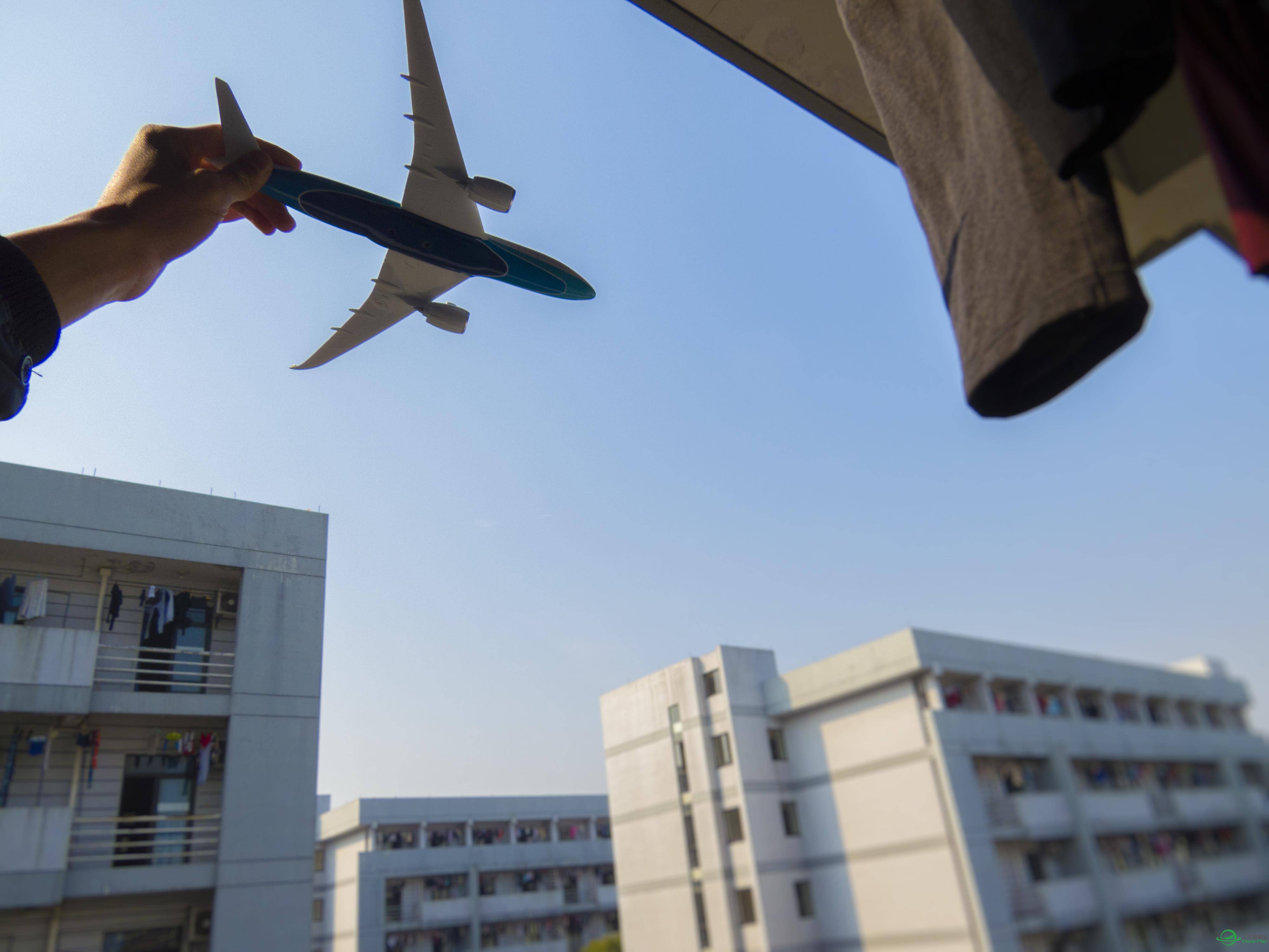 飞友的见面礼，厦航788 爱不释手-6239 