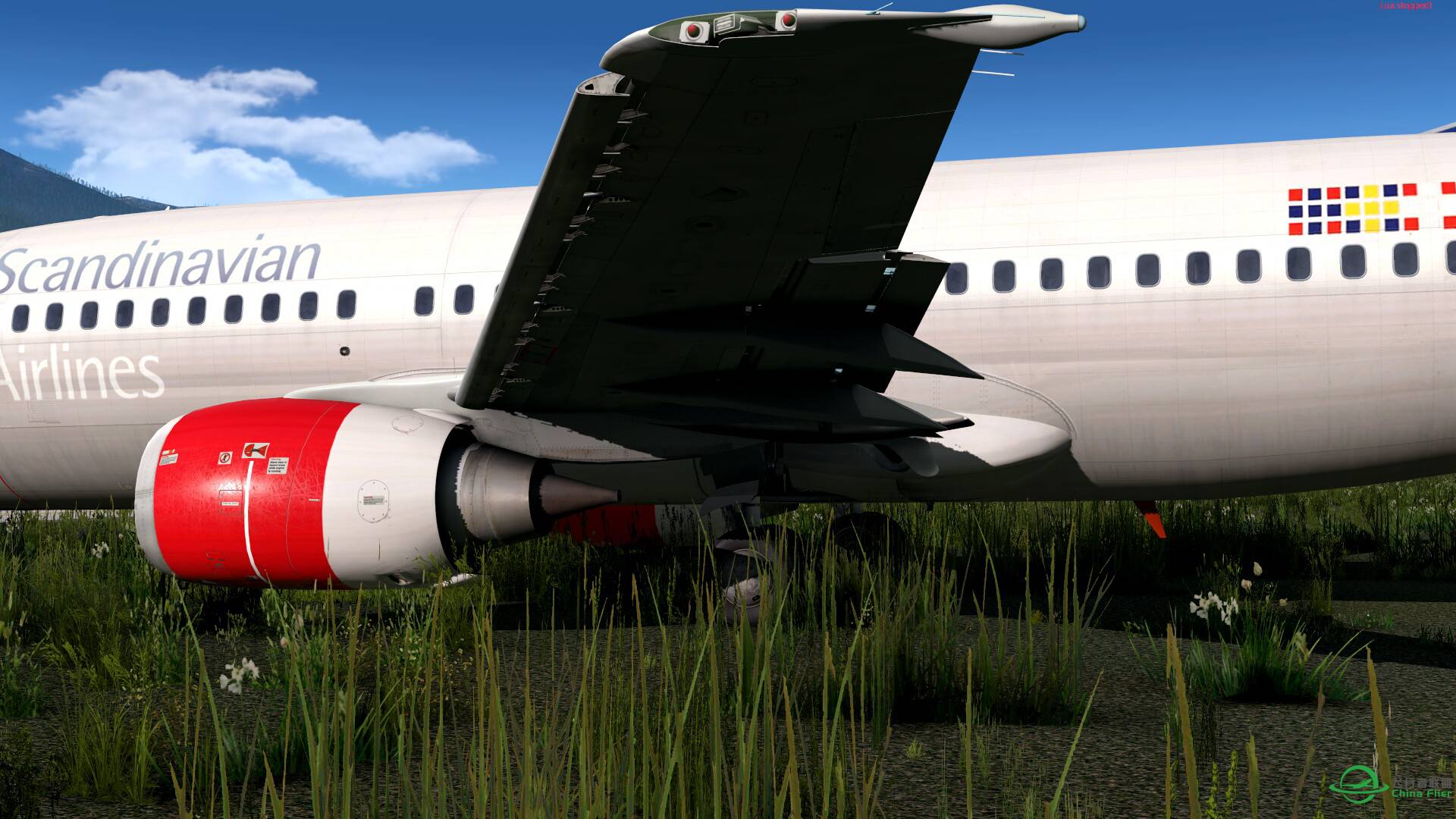 该死的地勤你是吃错药了吗？-6924 