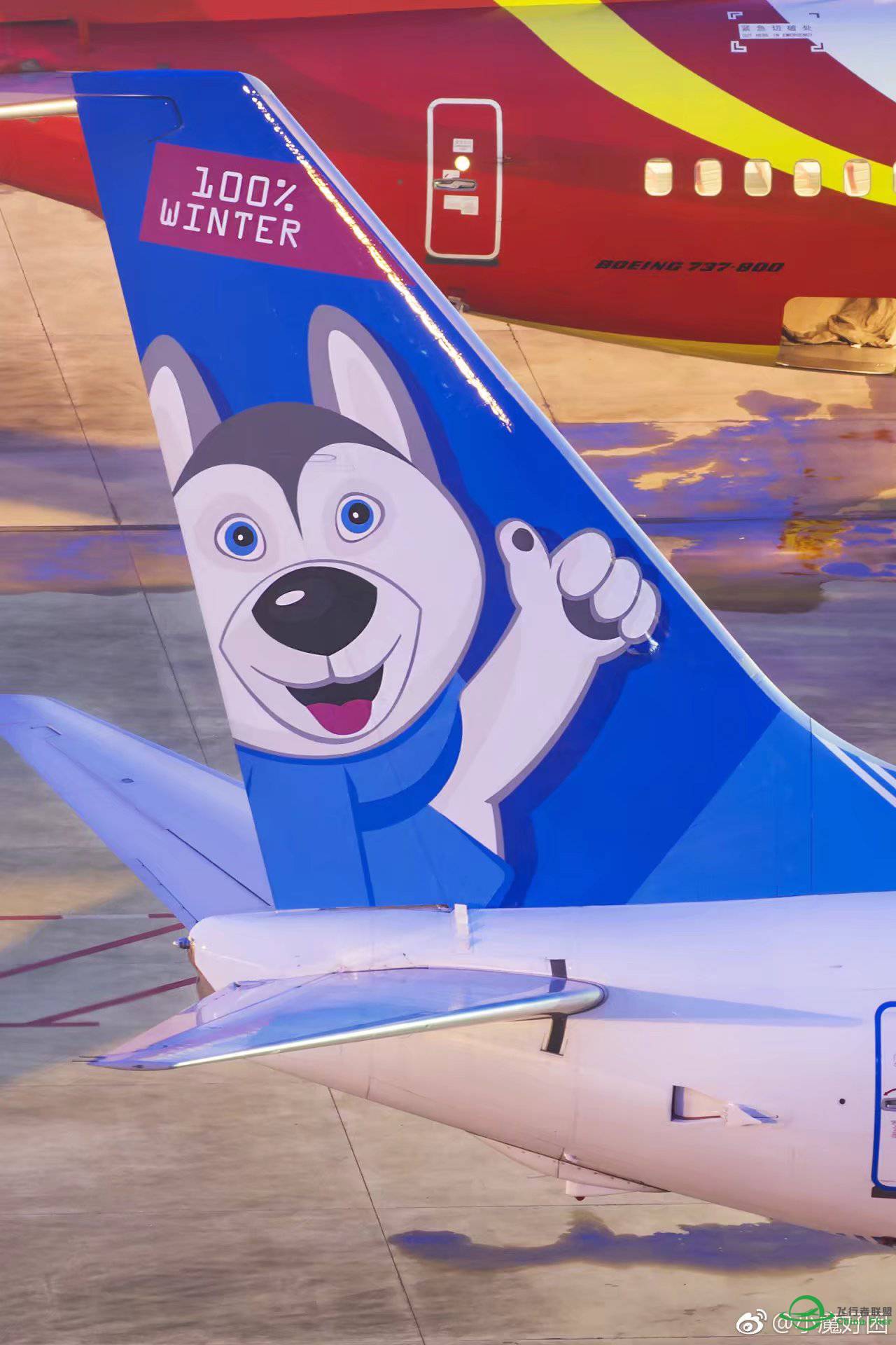 【求助】急需涂装制作人员，有偿。-4634 