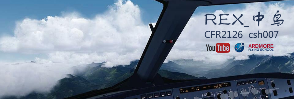 REX Sky Force 3D 真心赞！-4459 