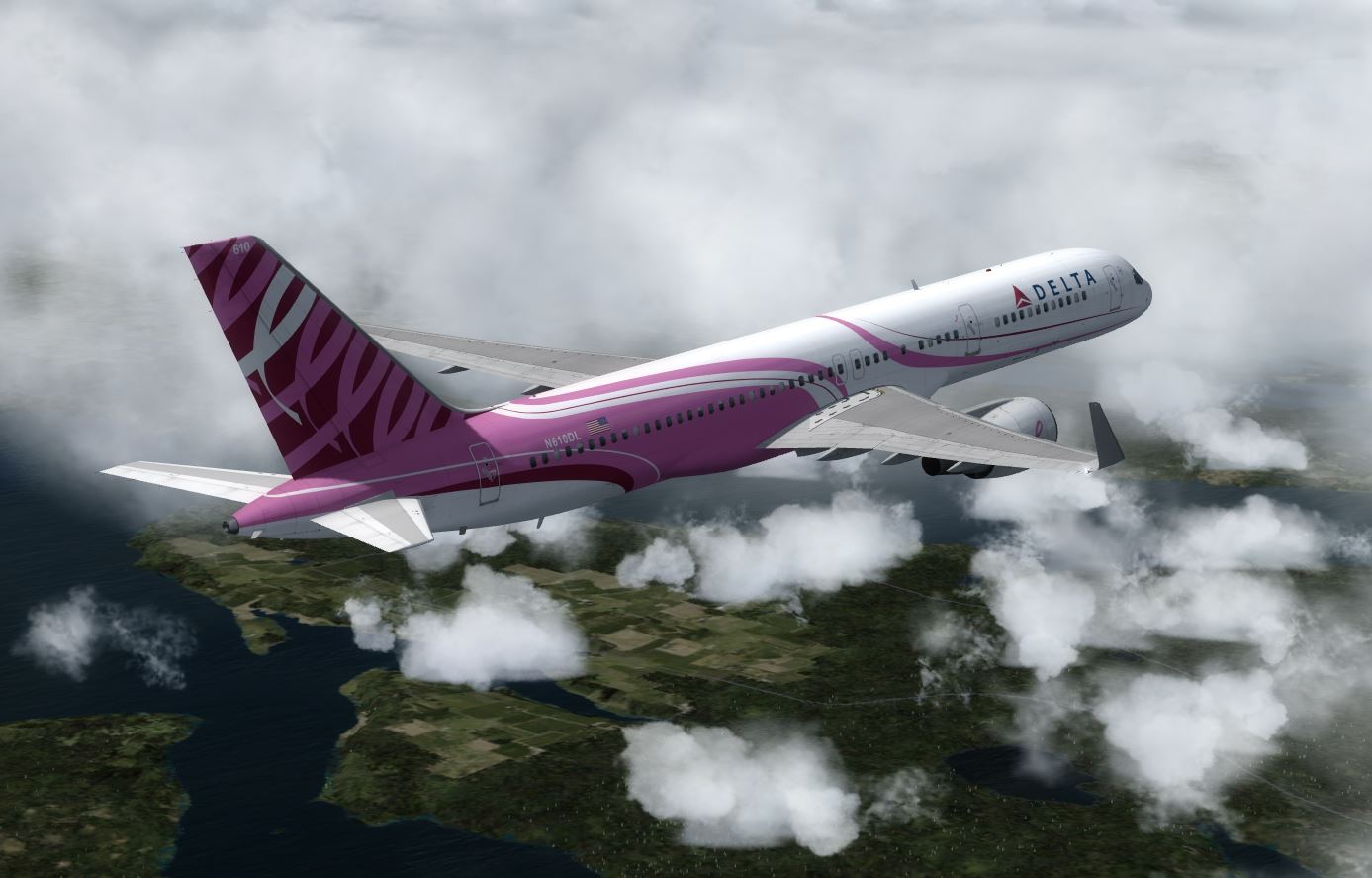 B757 Delta Airline Pink Livery N610DL-9202 