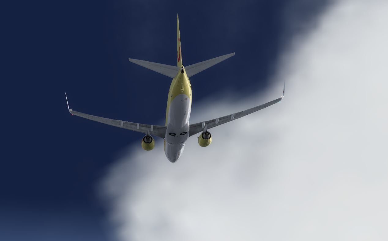 B737-800 TUI airways Yellow 2018-8698 