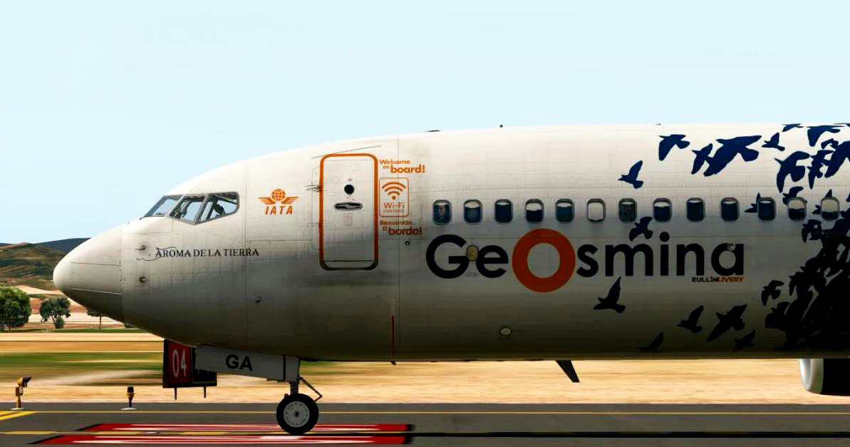 IXEG - 波音 B733-8122 