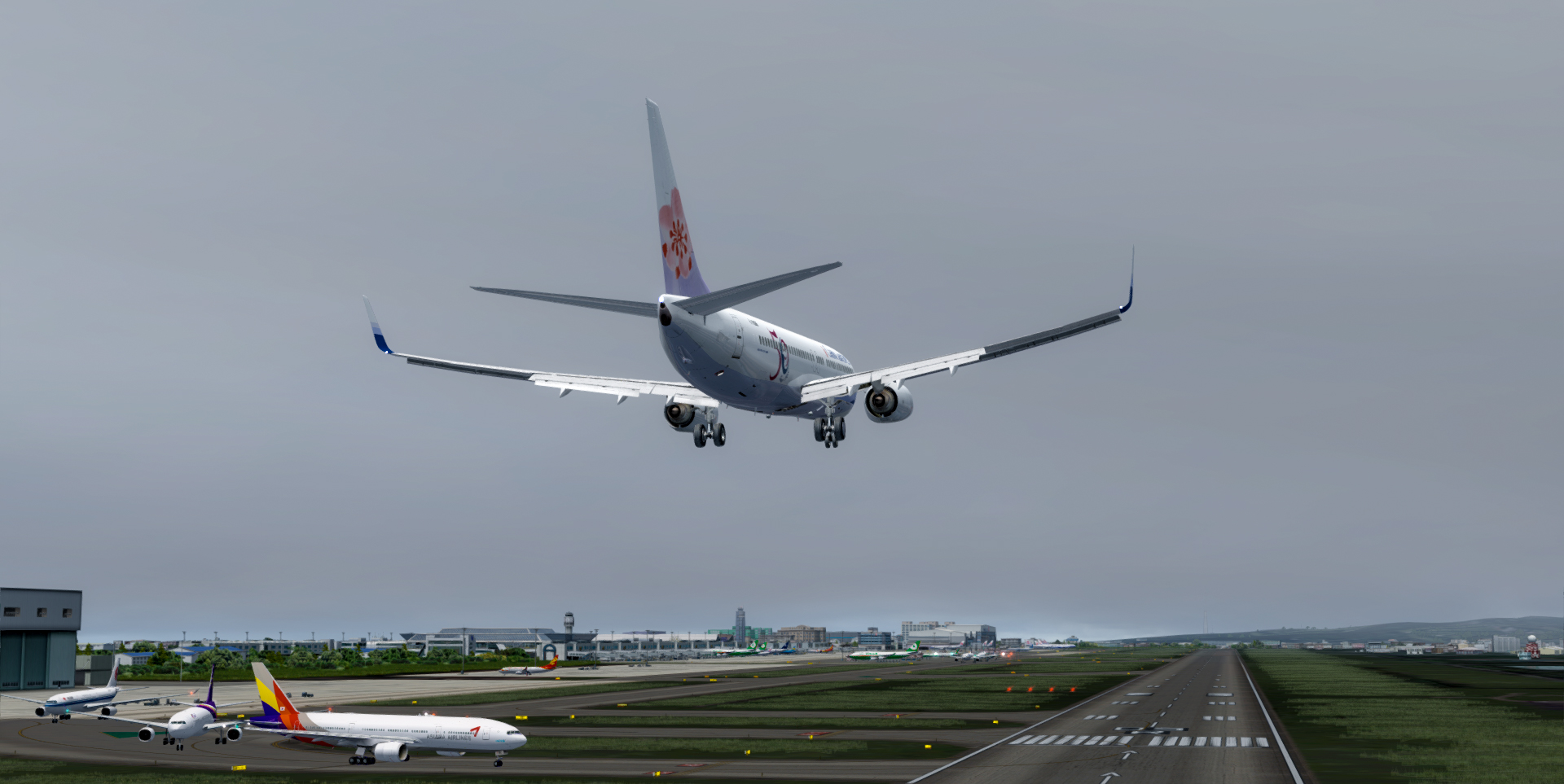 小梅花王子~-8955 