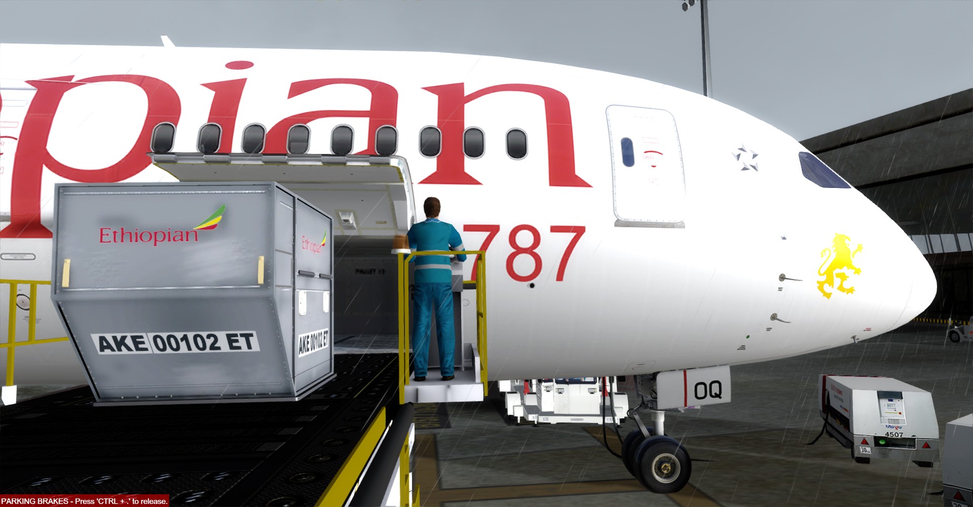 Ethiopian-690 