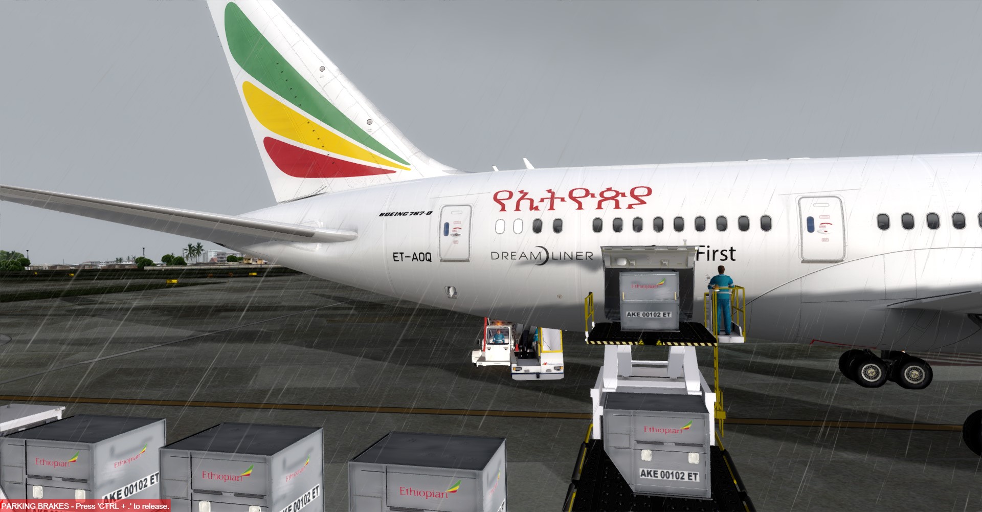 Ethiopian-3011 
