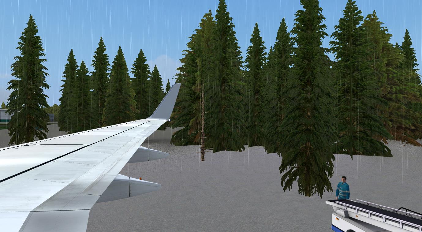 机场长满了树，这个怎么回事？？？？-8265 