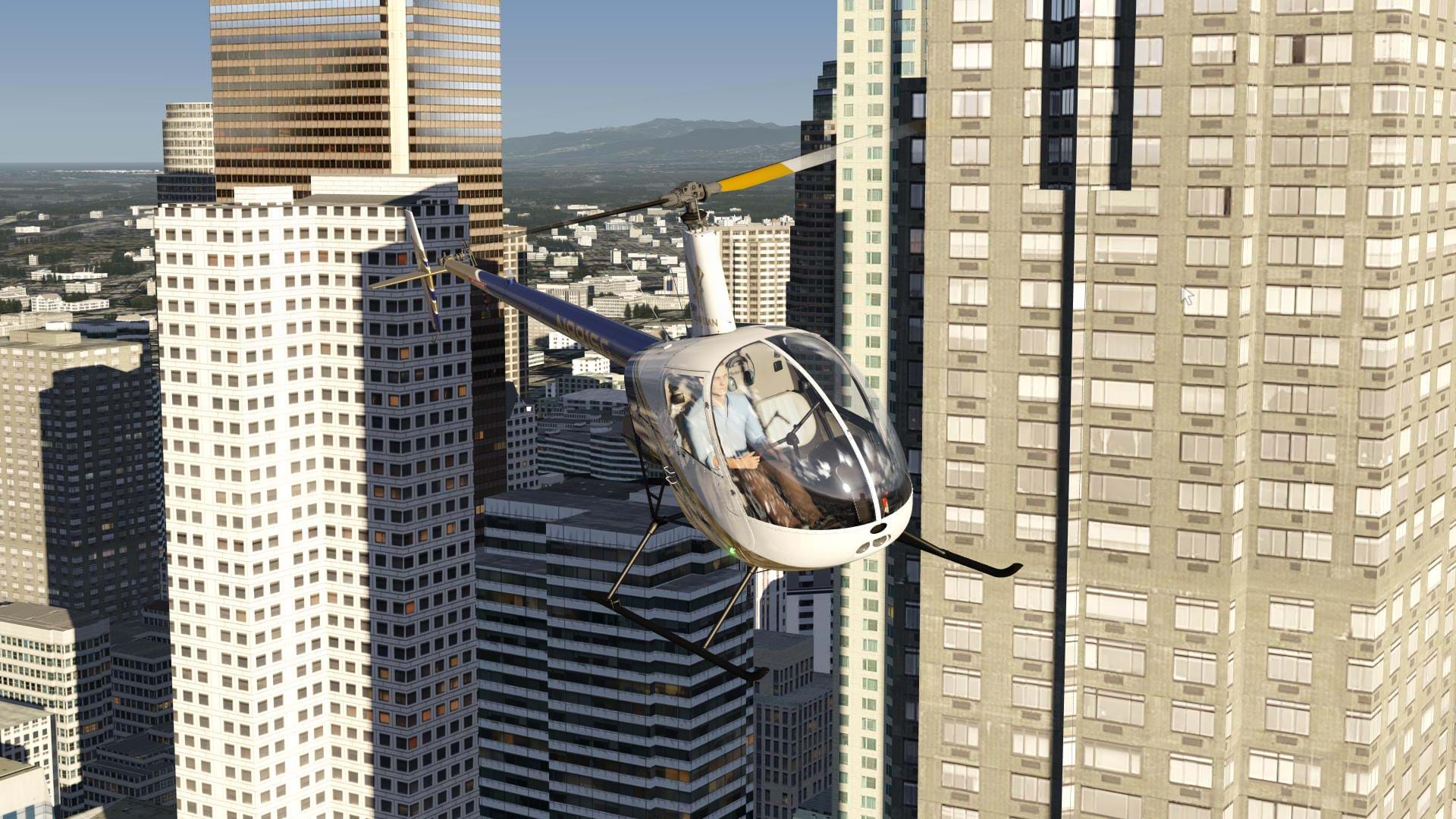 X-Plane - 美图-8592 