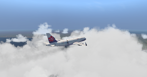 随手三连拍-6896 