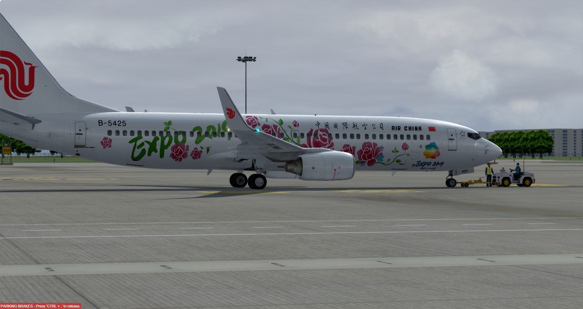 中国国际航空B-5425 世园会彩绘‘’花开盛世‘’号-8986 