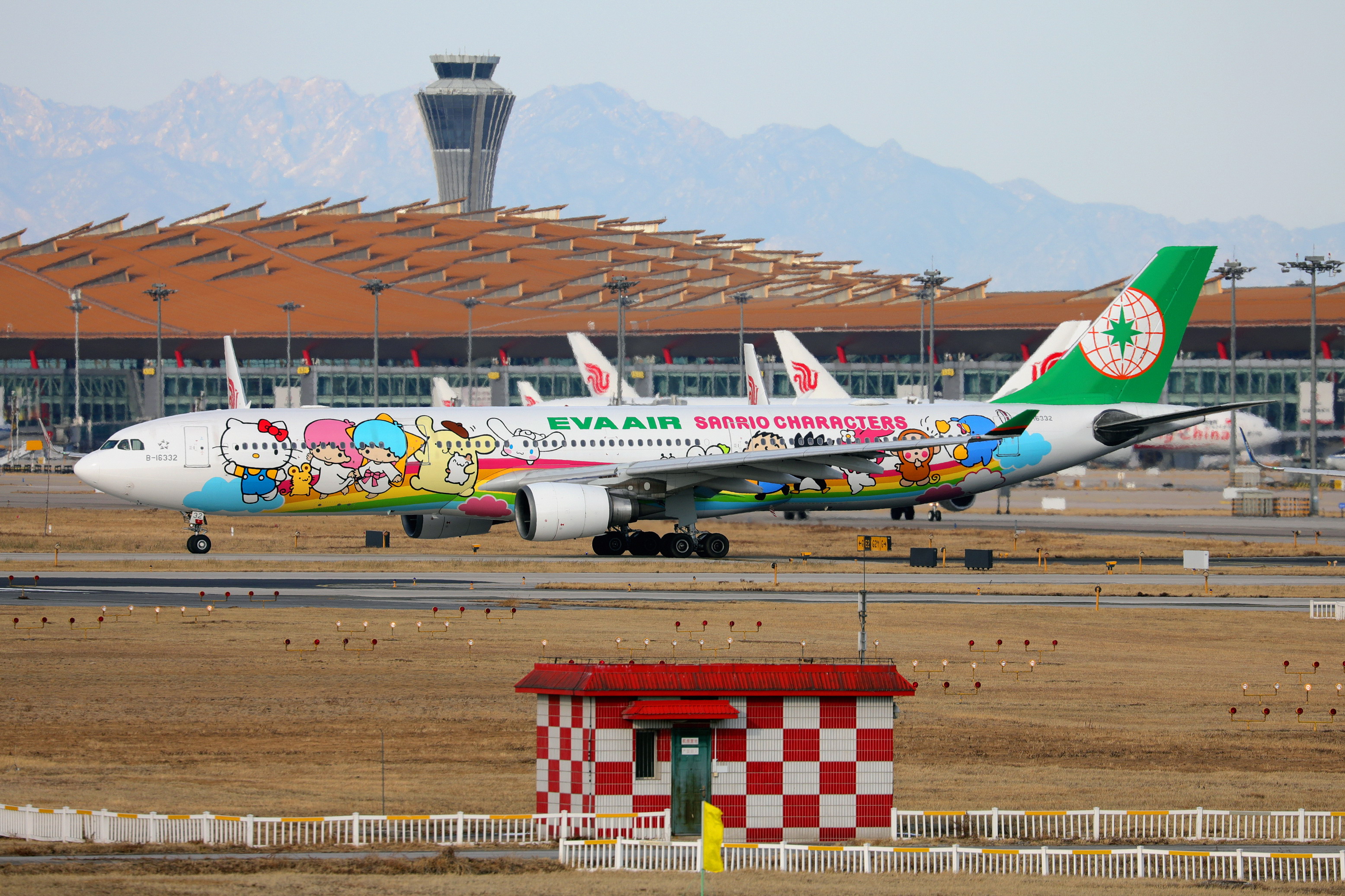 上星期拍的-3879 