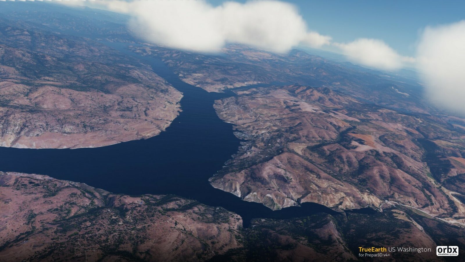 ORBX华盛顿州P3D-4840 