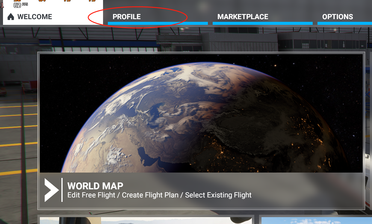 如何添加/替换MSFS2020 Airbus A320涂装-256 