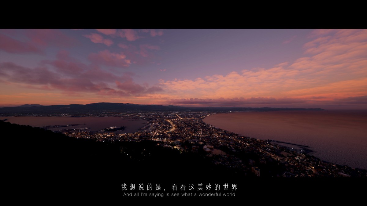 用电影风格打开微软模拟飞行2020 - 这美妙世界-7583 