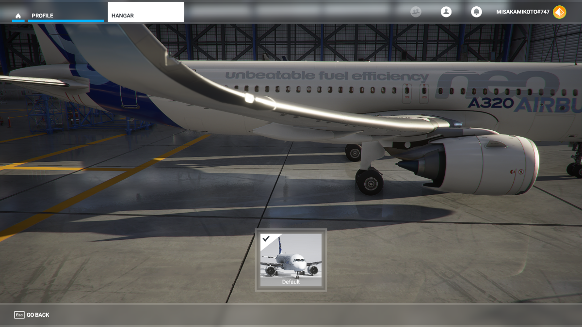 不知道为什么我的飞机只有默认的一个涂装-3978 