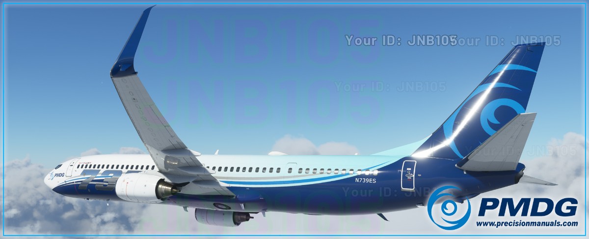 PMDG 737NG3-666 