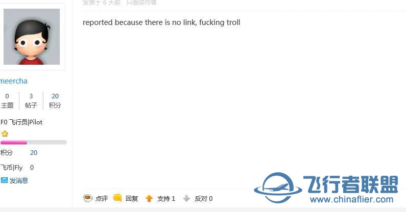 飞行宝是不是被老外盯上了-4989 