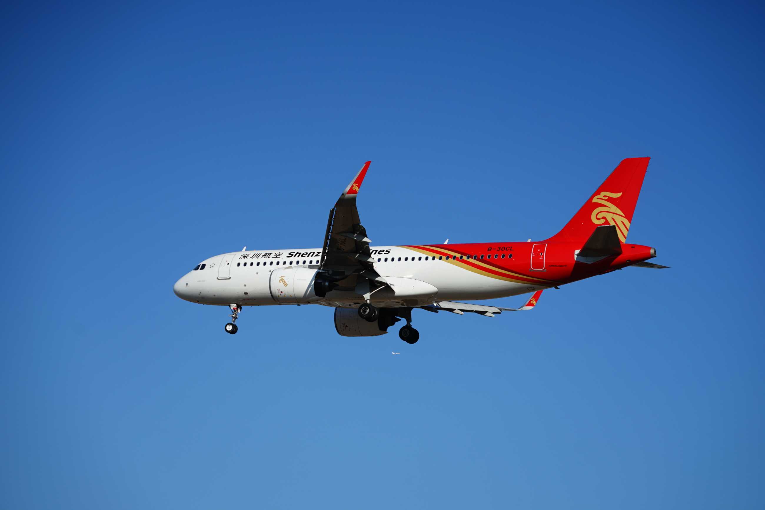 【3789】2021.2.17拍机-4109 