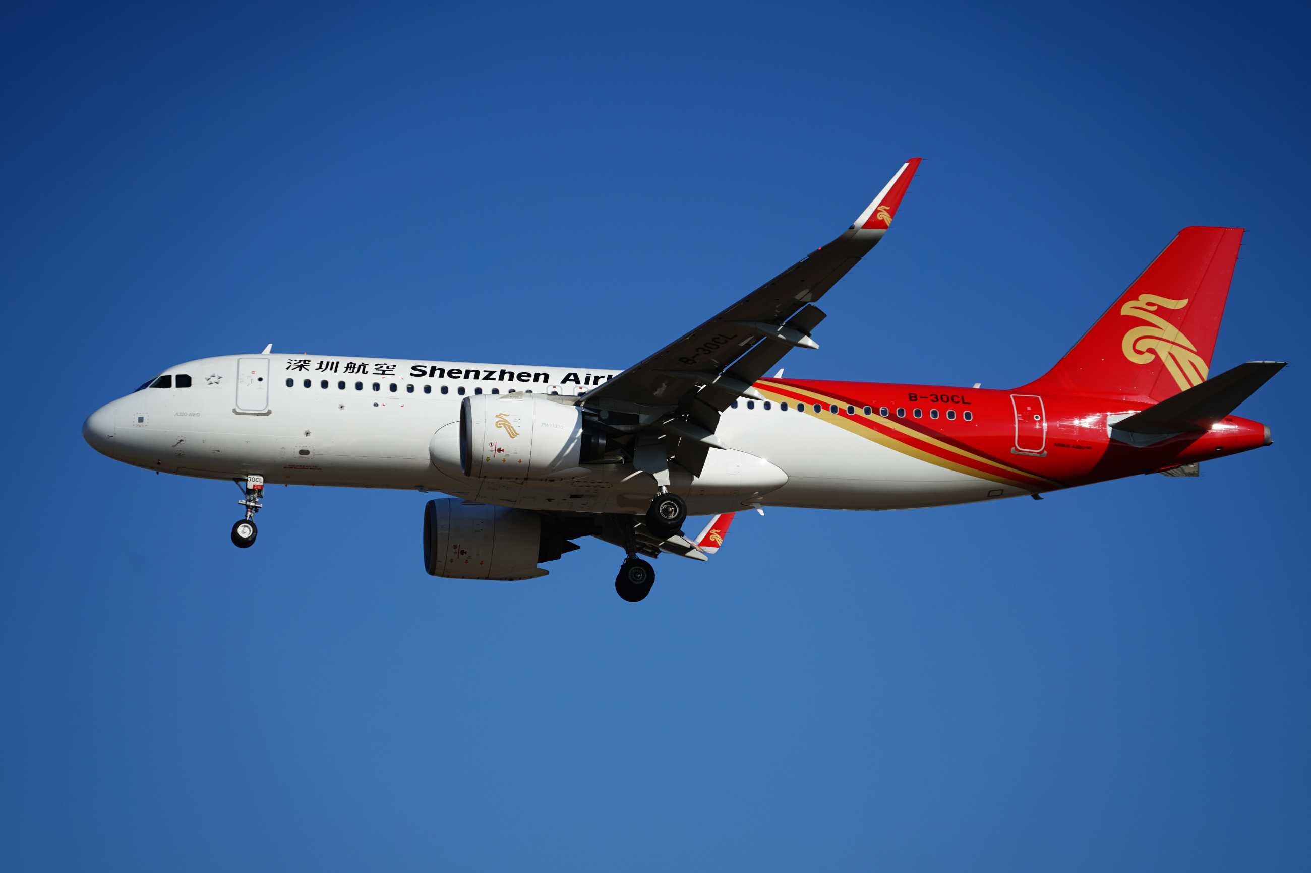 【3789】2021.2.17拍机-8853 