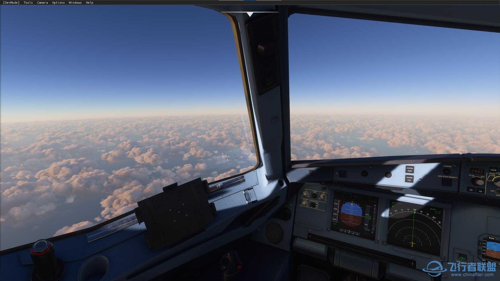 草，MFS2020真的香-5420 