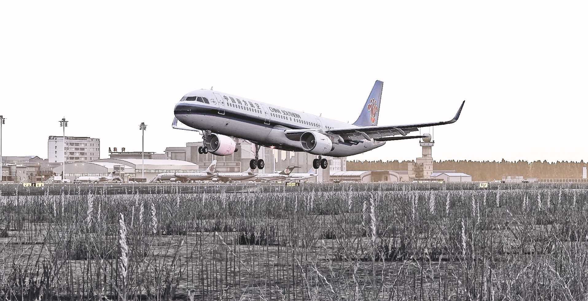 【xplane11-长春龙嘉ZYCC】“渣”图-6748 