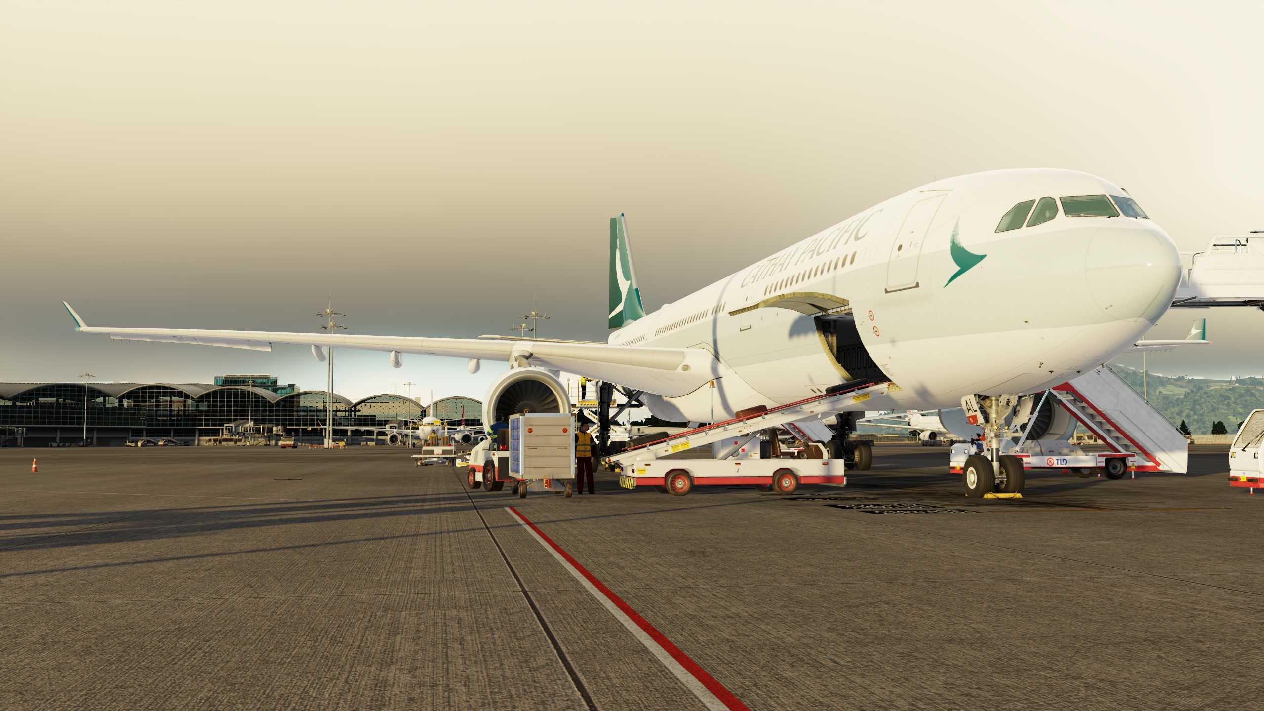 夕阳小晚班-2295 