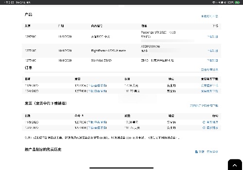 FFa320正版机模跟中文舱内语音包等打包出了-9134 