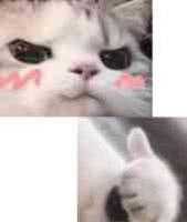 A350-900XWB 厦门航空UN涂装   -自制-  ~(awa~~~-3447 