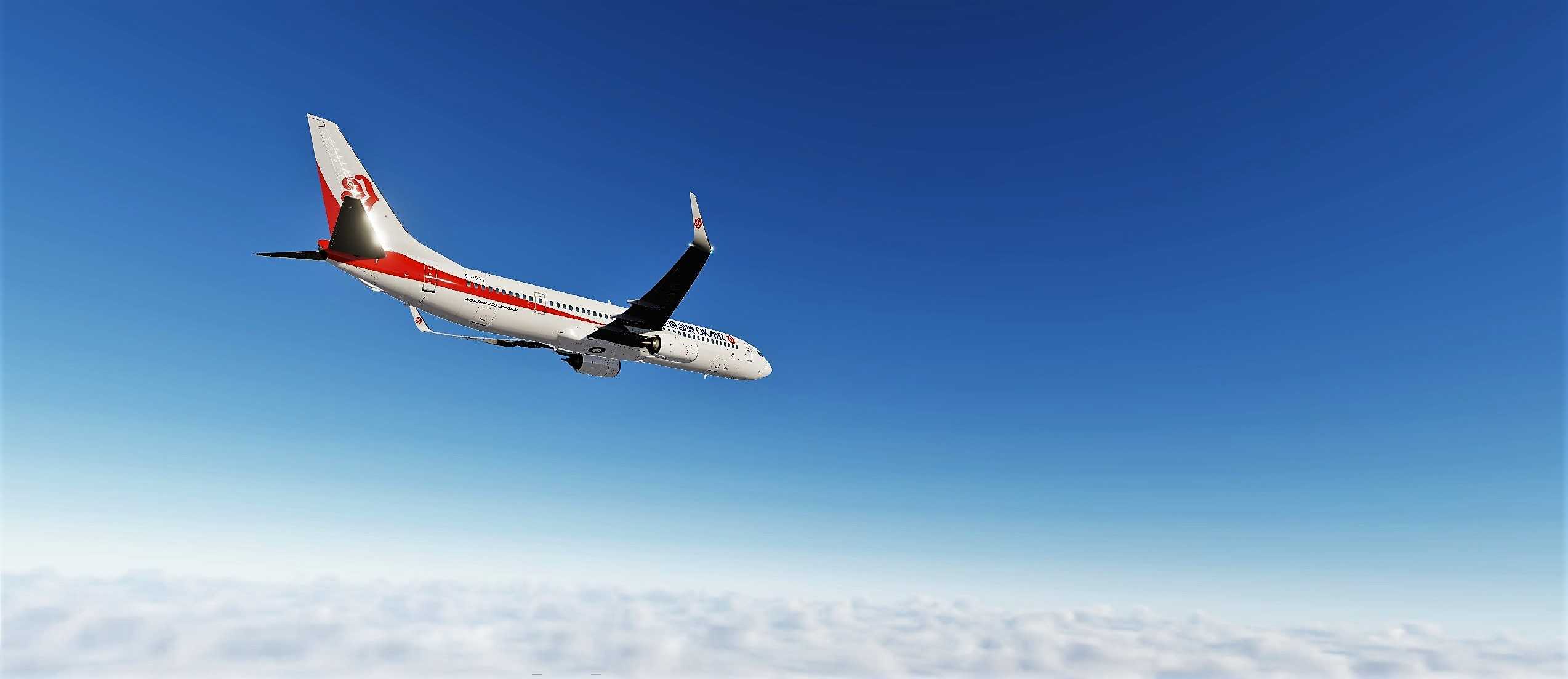 现实与虚拟-（奥凯航空B739）-3310 