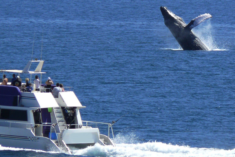 FSX飞行任务之夏威夷风光之旅-6548 