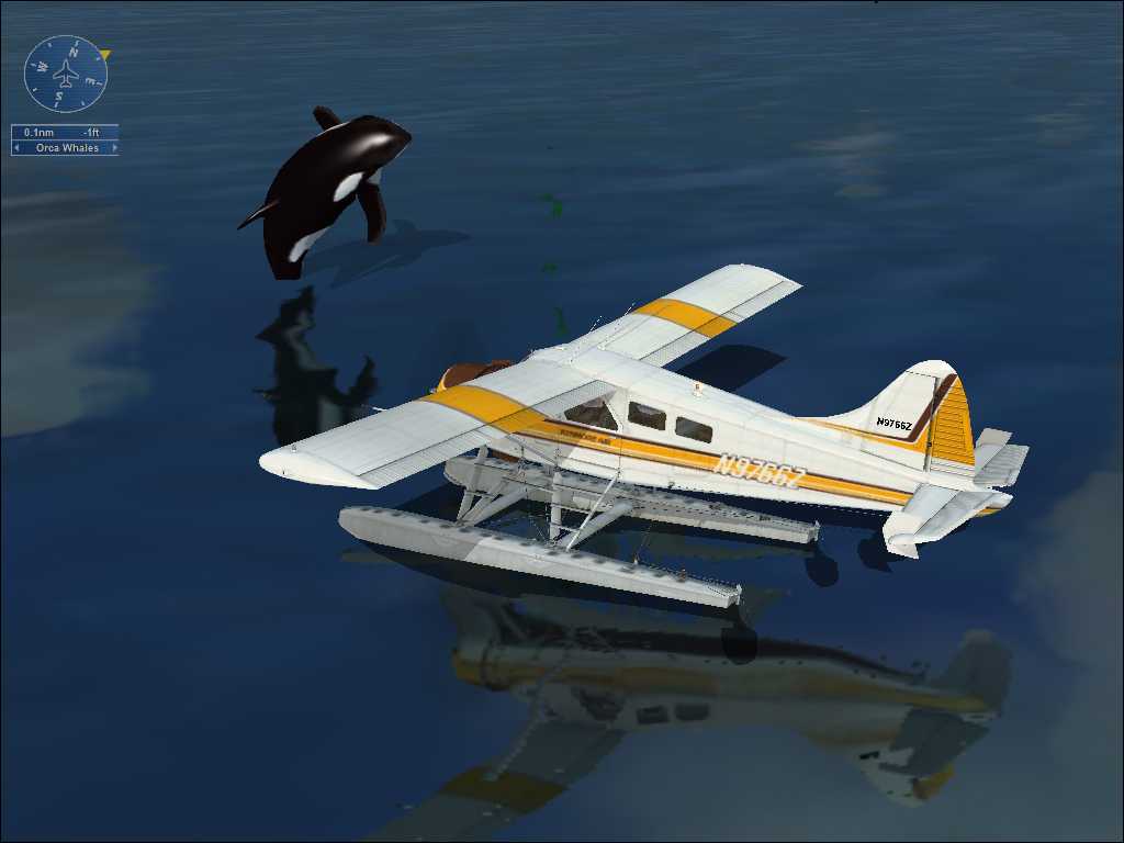 FSX海上观鲸模拟旅游-3829 