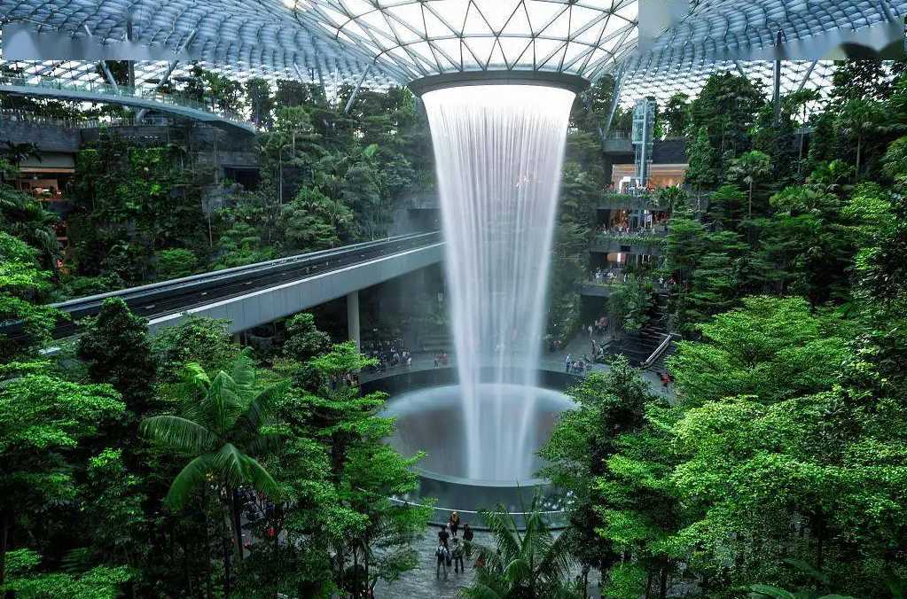 新加坡樟宜地景欣赏-2197 