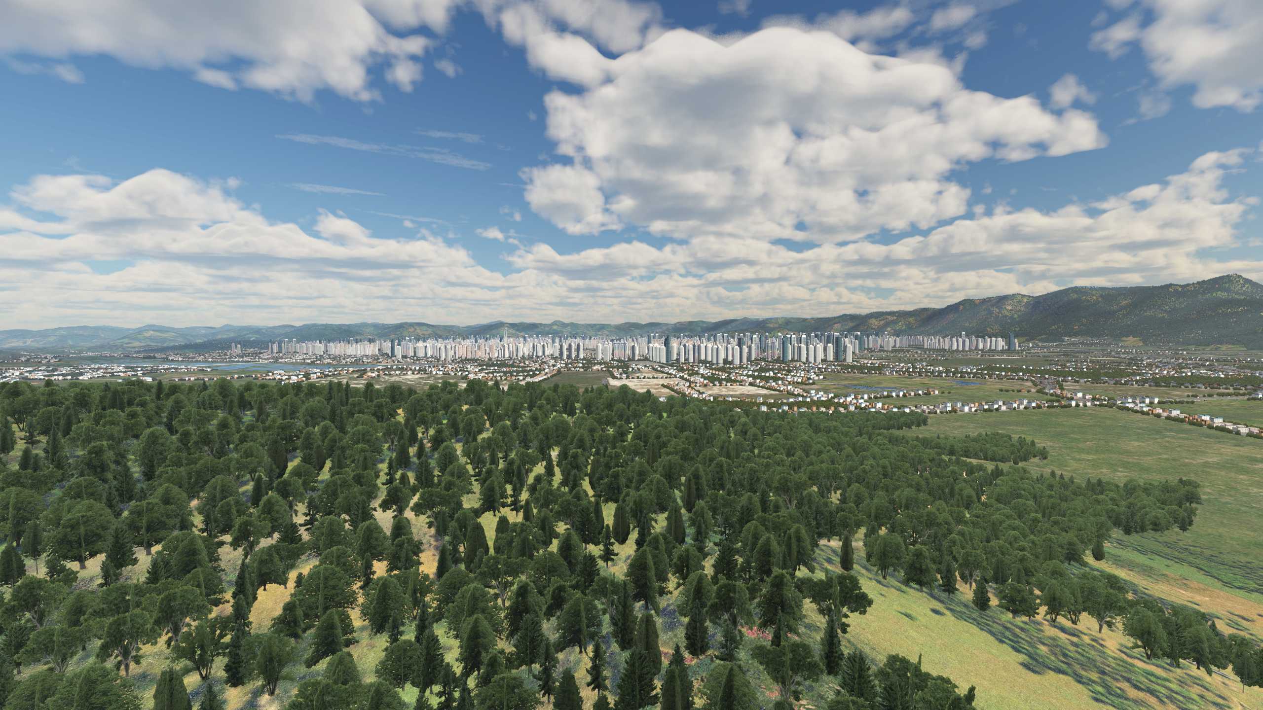 XP11 城市地景-----福州效果-2367 