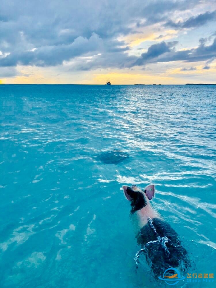 成为飞行员是一种怎样的体验？-5275 