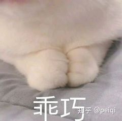 最全招飞流程/怎样成为一名飞行员?-8852 