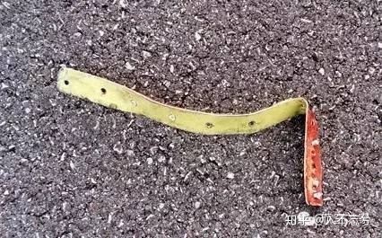 空客50年，历经半个世纪的春夏秋冬（四）-8339 