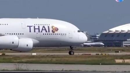 一只鸟在空客A380起飞过程中被吸入到了发动机里! 让人不忍直视-3748 