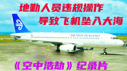 空客A320突然失控坠海，事故原因让人不可思议，空中浩劫-4203 