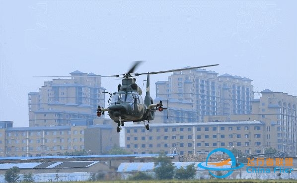 英姿飒爽！首批陆航女飞行员亮相-732 