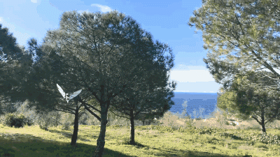 这个仿生飞行器也太让人意外了-6706 