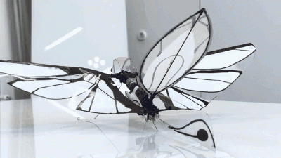 这个仿生飞行器也太让人意外了-2532 