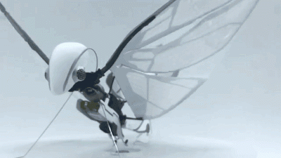 这个仿生飞行器也太让人意外了-4696 