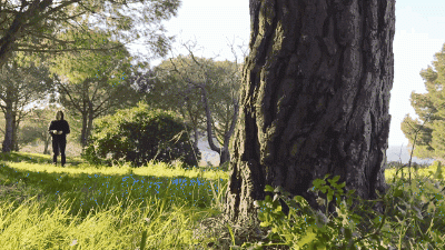 这个仿生飞行器也太让人意外了-4640 