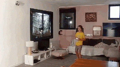 这个仿生飞行器也太让人意外了-4077 